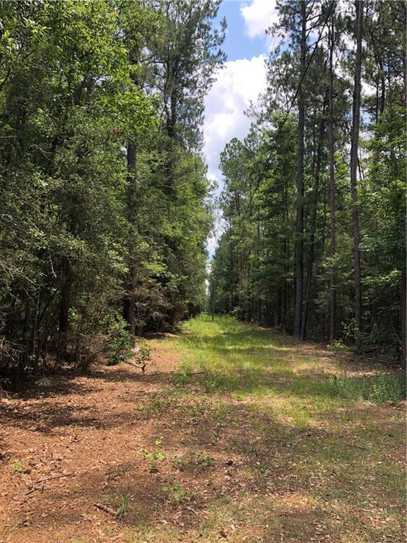 0 Rayford Seals And Rj Cheramie Road Bogalusa, LA 70427 - Photo 7 of 10 Gallery Image 7