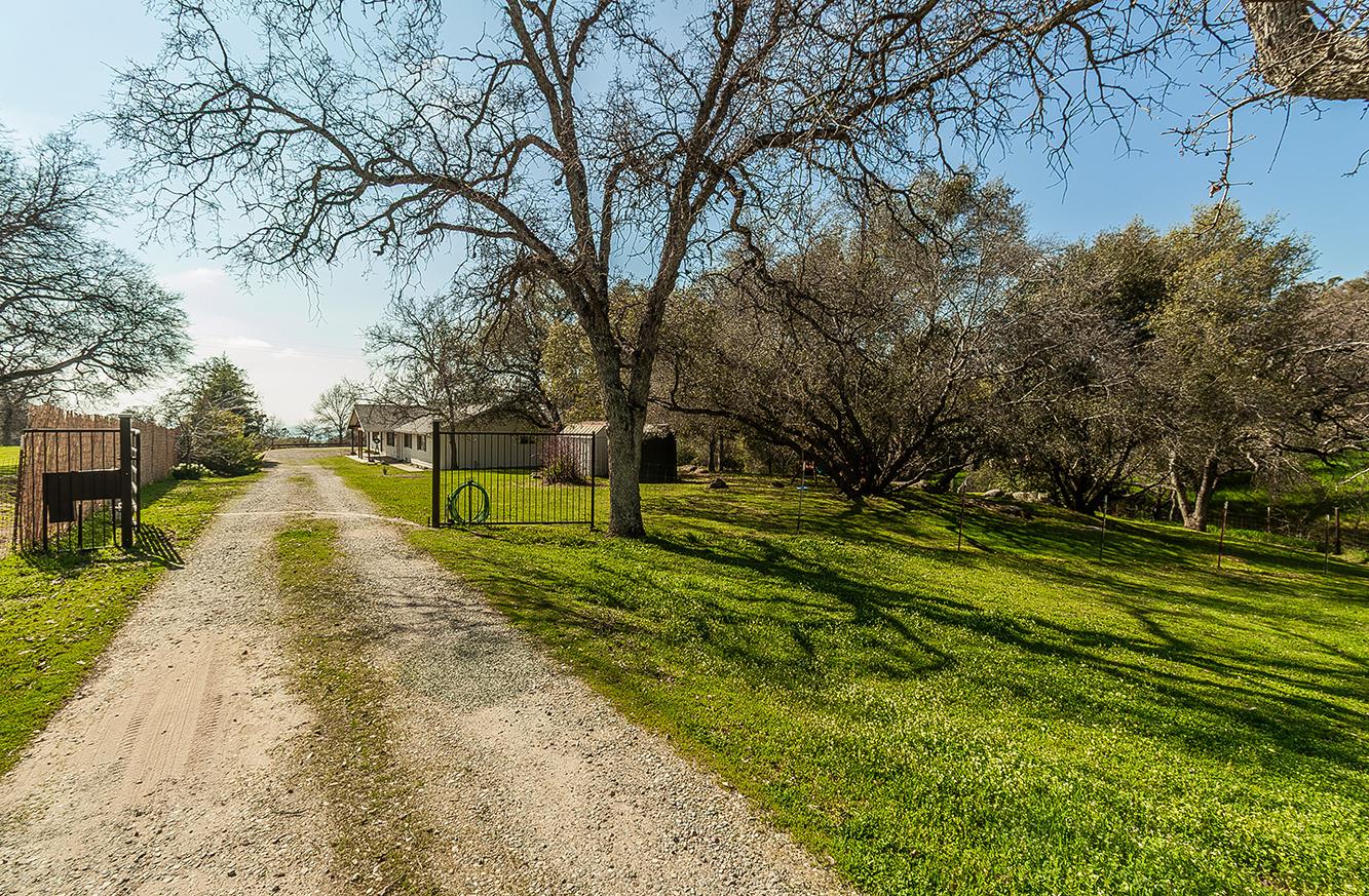 29039 Auberry Road Prather, CA 93651 - Photo 48 of 73 a view of a park with large trees
