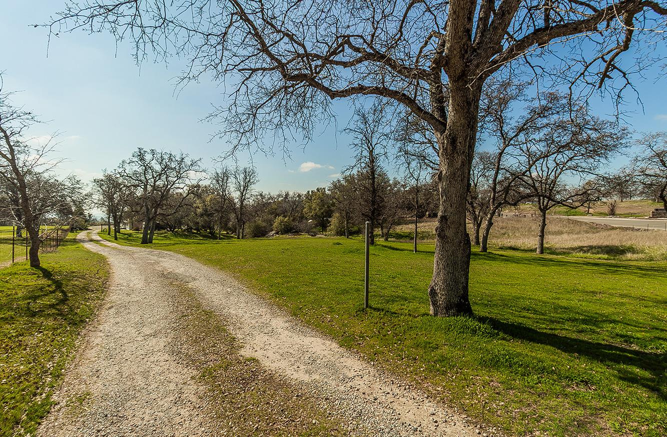 29039 Auberry Road Prather, CA 93651 - Photo 49 of 73 a view of a park with large trees