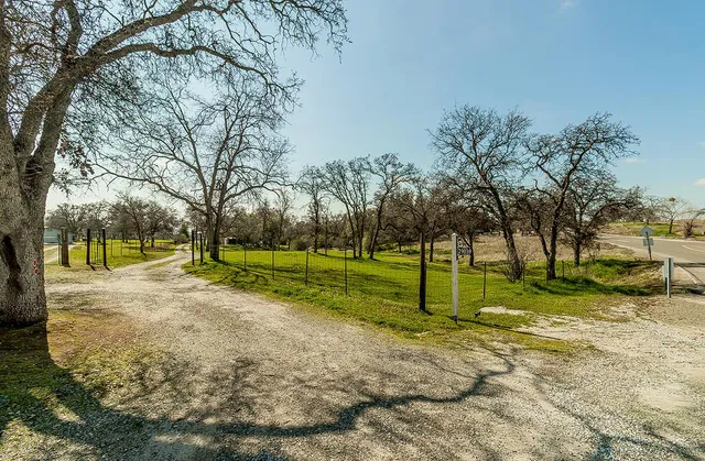 a view of a backyard with large tree