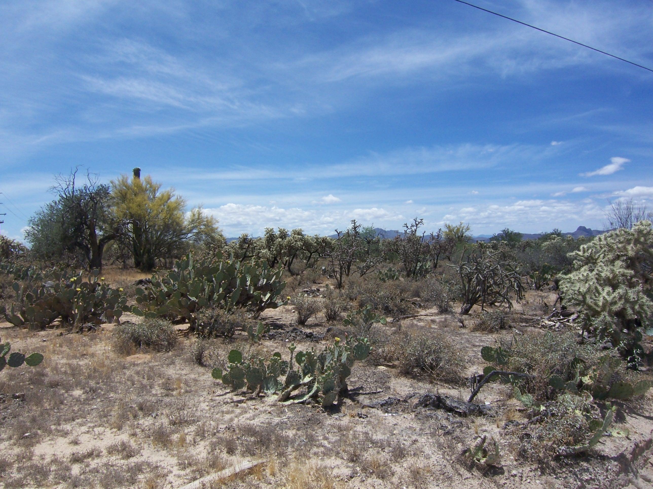 10700 North Thornydale Road Tucson, AZ 85742 - Photo 6 of 10