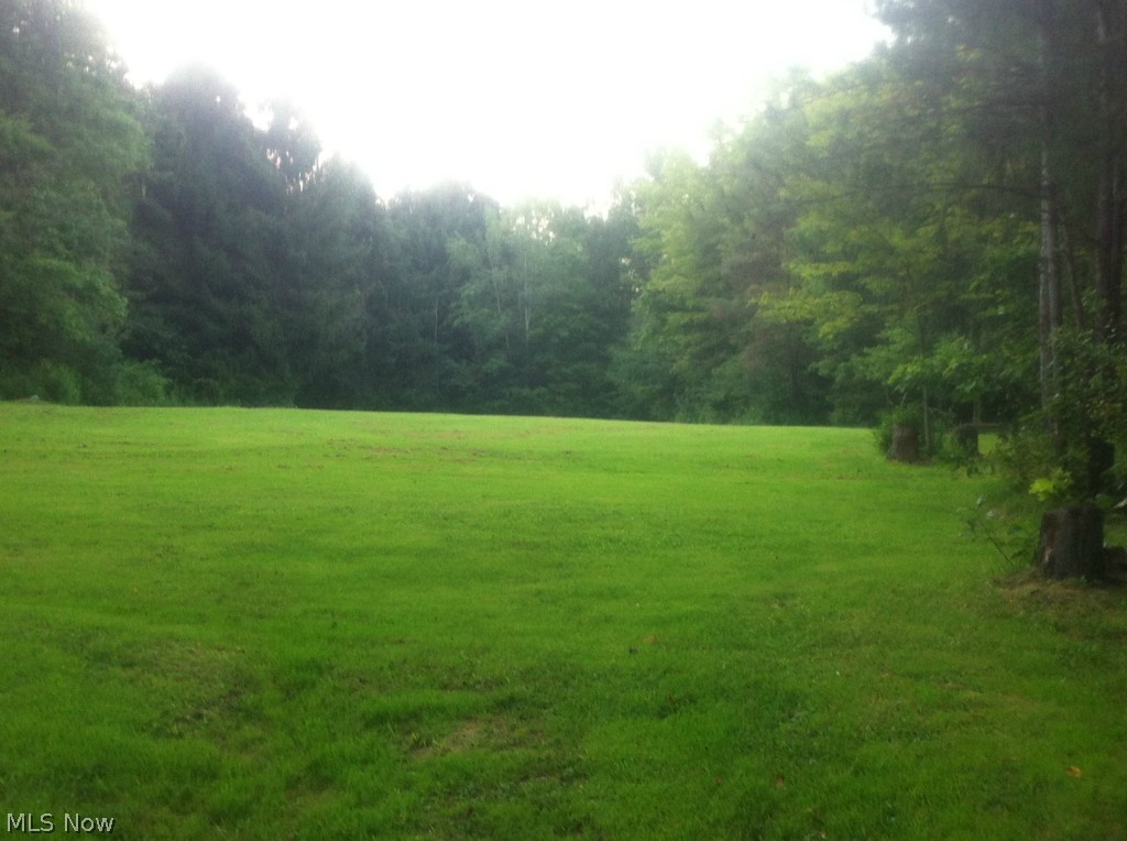 8097 Thomas Road Lisbon, OH 44432 - Photo 5 of 22 Field view.