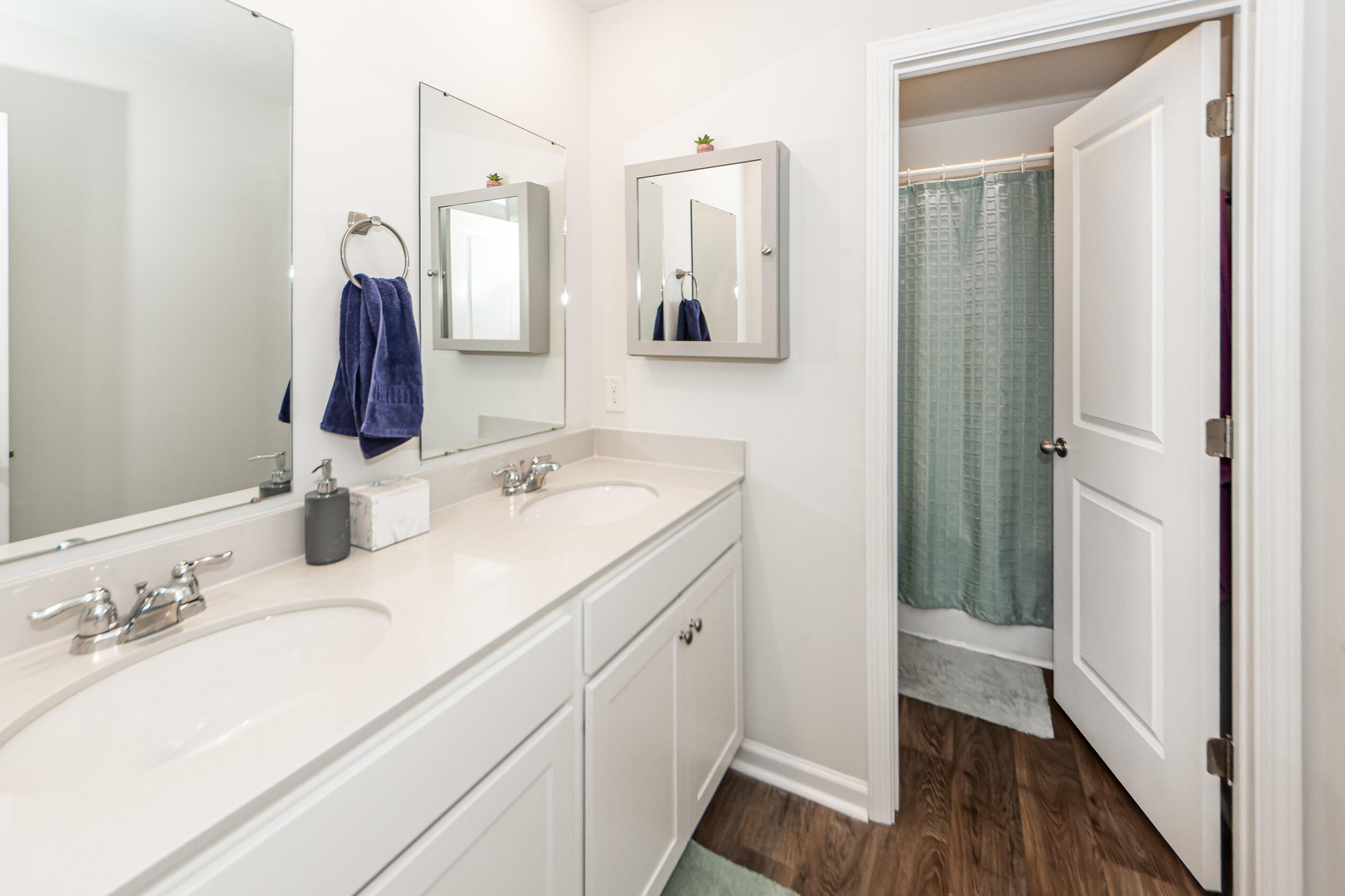 414 Blue Elderberry Run Moncks Corner, SC 29461 - Photo 13 of 16 25