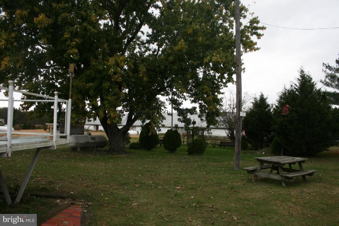 4804 Waste Gate Road Parsonsburg, MD 21849 - Photo 15 of 35 Gallery Image 15