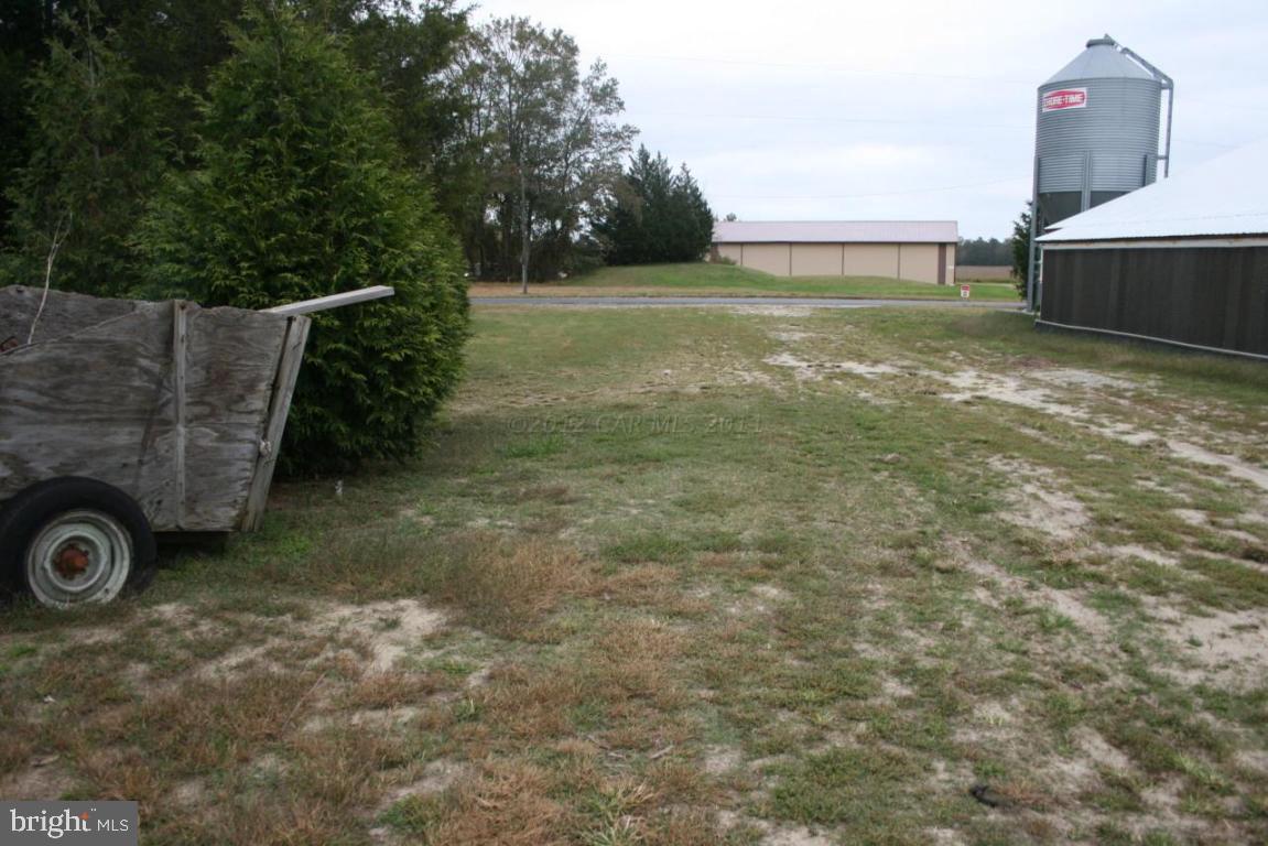 4804 Waste Gate Road Parsonsburg, MD 21849 - Photo 18 of 35 Gallery Image 18