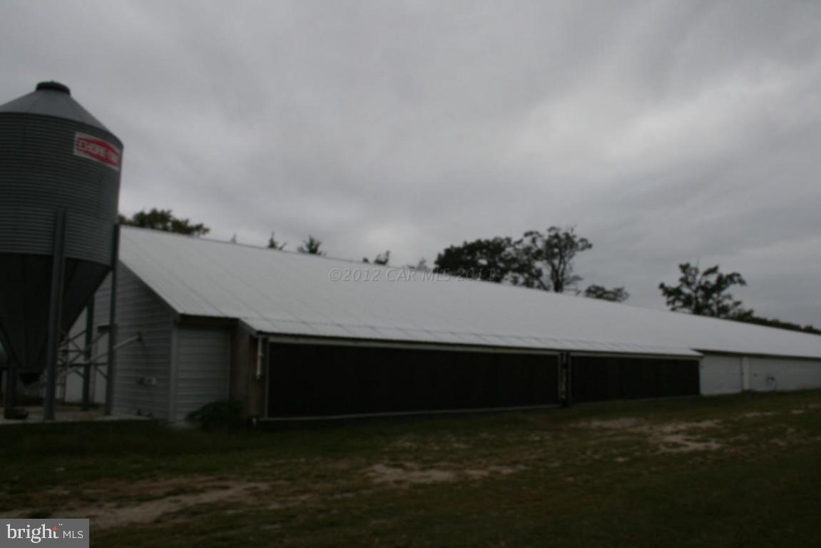 4804 Waste Gate Road Parsonsburg, MD 21849 - Photo 19 of 35 Gallery Image 19