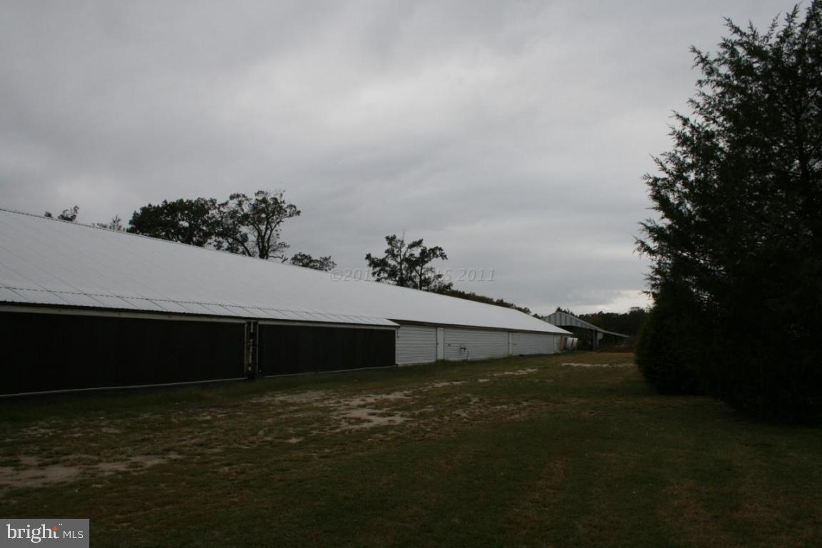 4804 Waste Gate Road Parsonsburg, MD 21849 - Photo 21 of 35 Gallery Image 21