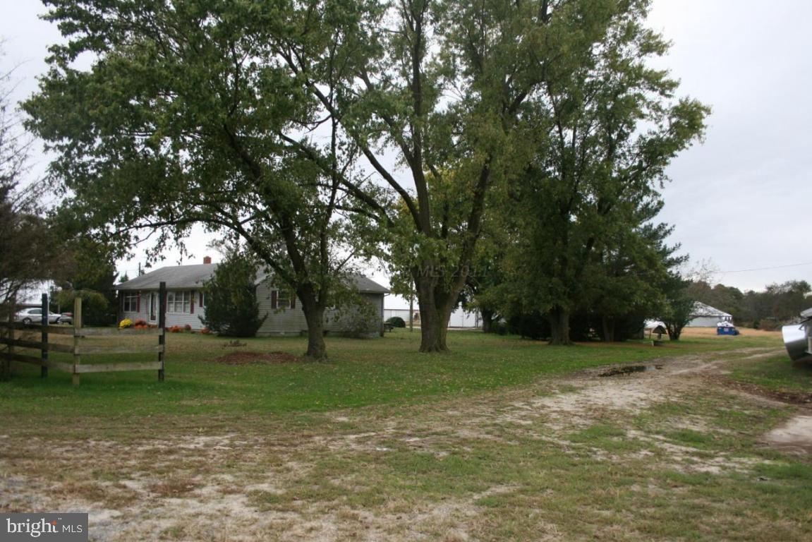 4804 Waste Gate Road Parsonsburg, MD 21849 - Photo 29 of 35 Gallery Image 29