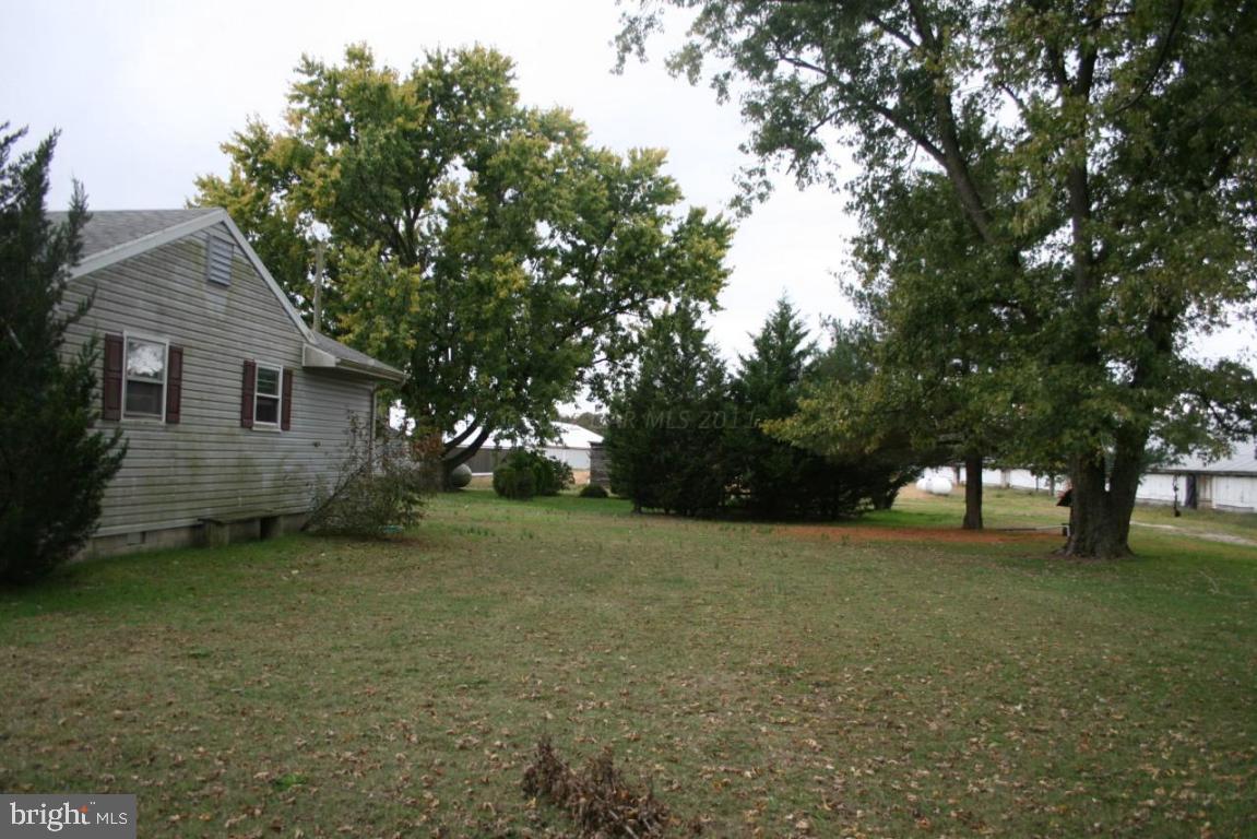 4804 Waste Gate Road Parsonsburg, MD 21849 - Photo 30 of 35 Gallery Image 30