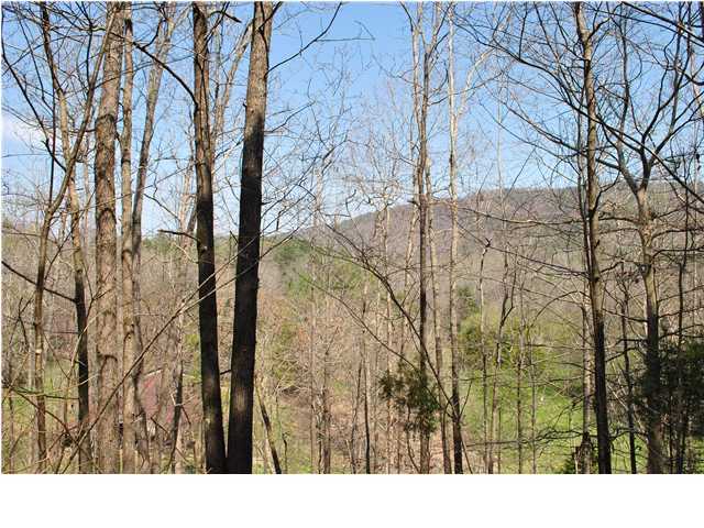 2622 Rock Creek Road Southwest, Unit 60 Calhoun, GA 30701 - Photo 11 of 25 Additional Photo