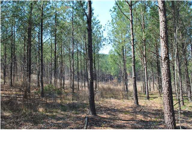 2622 Rock Creek Road Southwest, Unit 60 Calhoun, GA 30701 - Photo 12 of 25 Additional Photo