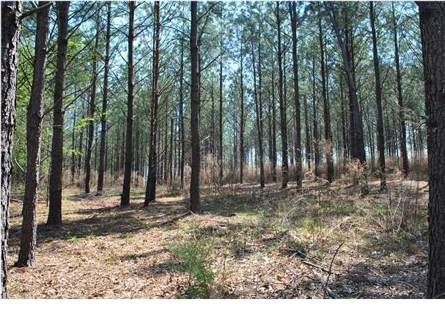 2622 Rock Creek Road Southwest, Unit 60 Calhoun, GA 30701 - Photo 14 of 25 Additional Photo