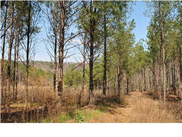2622 Rock Creek Road Southwest, Unit 60 Calhoun, GA 30701 - Photo 15 of 25 Additional Photo