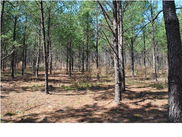 2622 Rock Creek Road Southwest, Unit 60 Calhoun, GA 30701 - Photo 17 of 25 Additional Photo