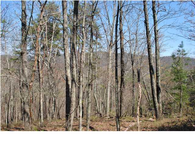 2622 Rock Creek Road Southwest, Unit 60 Calhoun, GA 30701 - Photo 20 of 25 Additional Photo