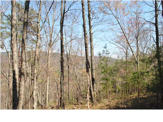 2622 Rock Creek Road Southwest, Unit 60 Calhoun, GA 30701 - Photo 21 of 25 Additional Photo
