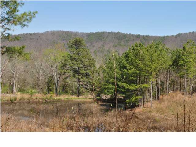 2622 Rock Creek Road Southwest, Unit 60 Calhoun, GA 30701 - Photo 22 of 25 Additional Photo