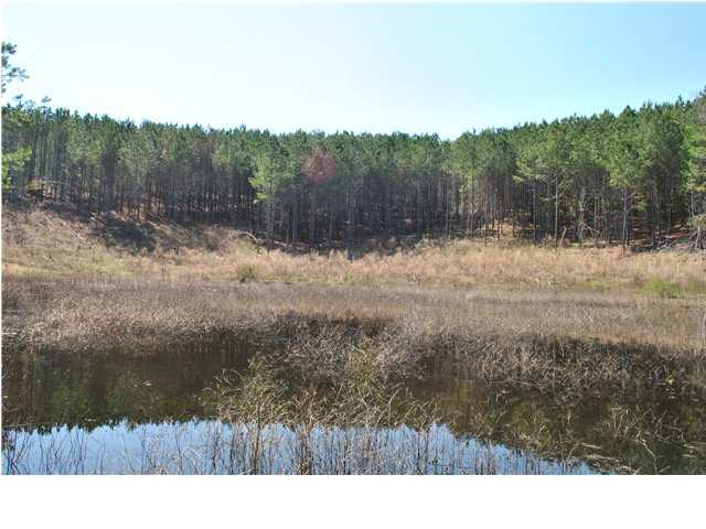 2622 Rock Creek Road Southwest, Unit 60 Calhoun, GA 30701 - Photo 23 of 25 Additional Photo