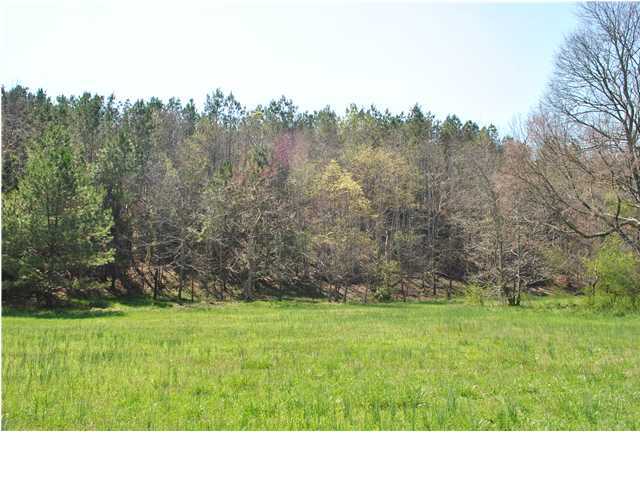 2622 Rock Creek Road Southwest, Unit 60 Calhoun, GA 30701 - Photo 4 of 25 Additional Photo