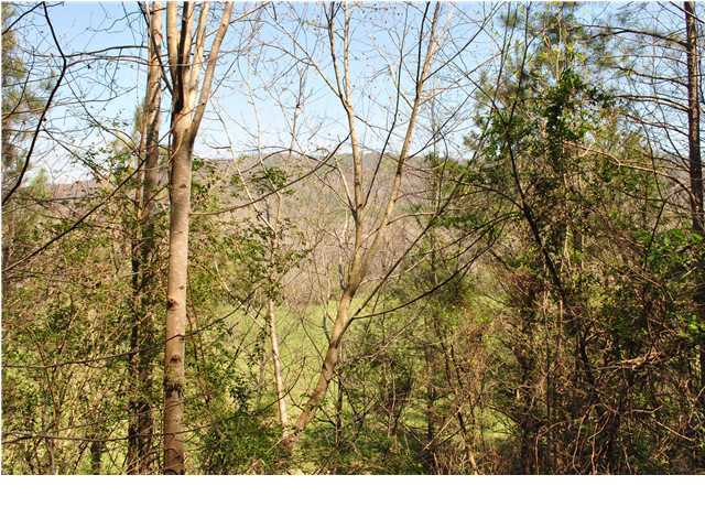 2622 Rock Creek Road Southwest, Unit 60 Calhoun, GA 30701 - Photo 7 of 25 Additional Photo