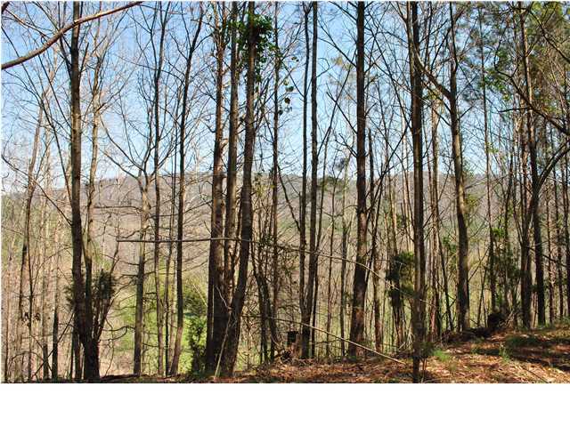 2622 Rock Creek Road Southwest, Unit 60 Calhoun, GA 30701 - Photo 9 of 25 Additional Photo