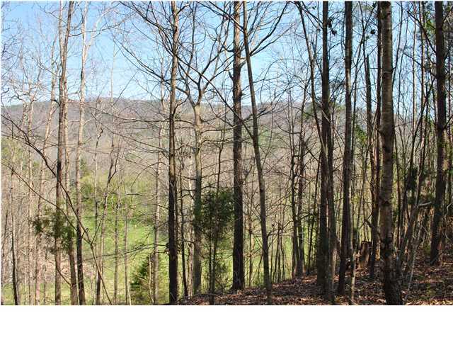 2622 Rock Creek Road Southwest, Unit 60 Calhoun, GA 30701 - Photo 10 of 25 Additional Photo