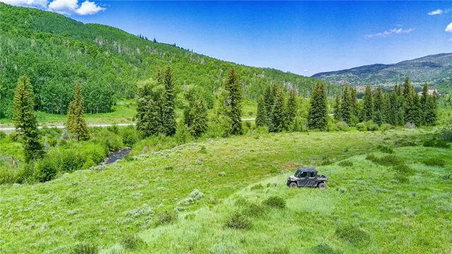 a view of a lush green forest with lots of trees
