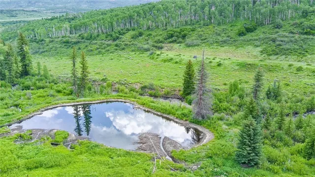 a view of a garden with a bench in a forest