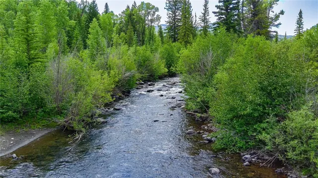a view of a large yard with lots of green space