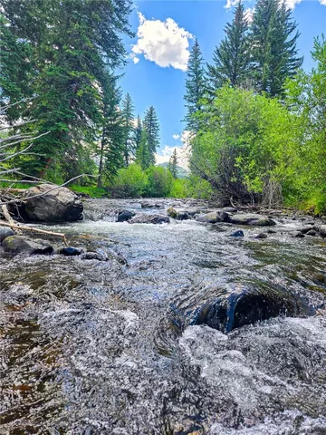 a view of a dry yard with trees