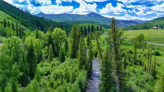a view of an outdoor space and a yard