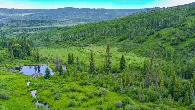 a view of a lush green field with a tree in the background