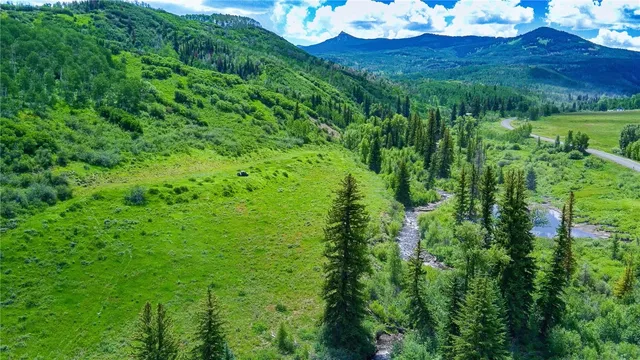 a view of a lush green forest with lots of trees