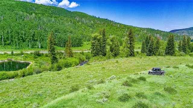 a view of a green field with lots of bushes