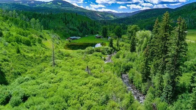 a view of a lush green forest with lots of trees