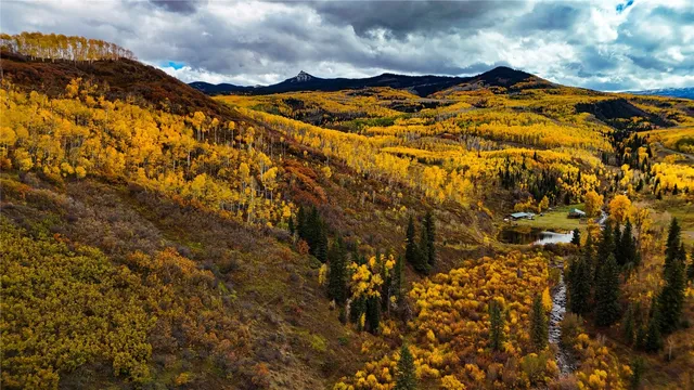 a view of an outdoor space