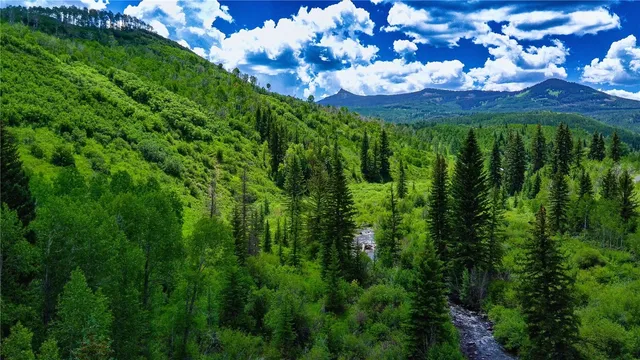 a view of a big yard with lots of green space