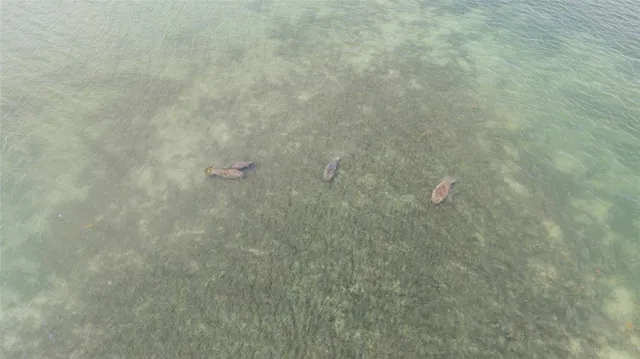 $114,900 | 70 Spaniards Road, Placida, FL 33946