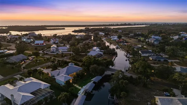 a view of a yard with potted plants