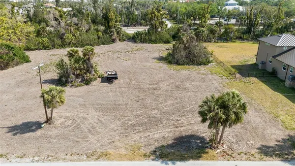 a view of a yard with plants