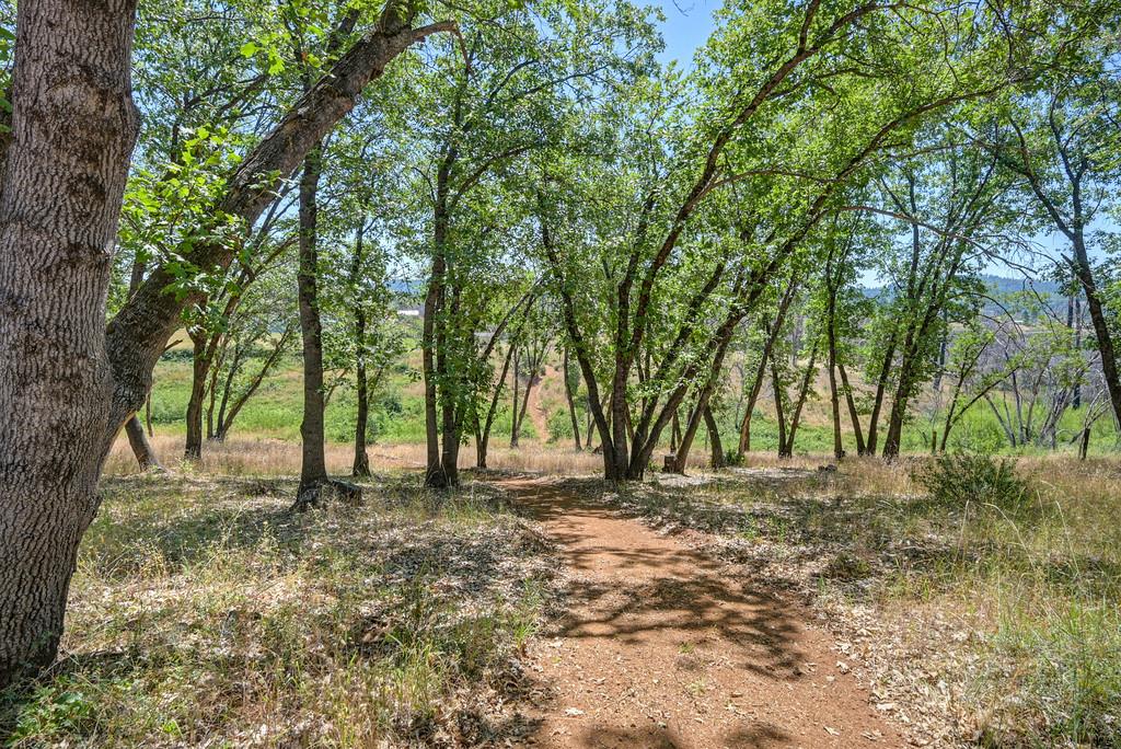 19539 Mountain Lion Road Grass Valley, CA 95945 - Photo 71 of 74