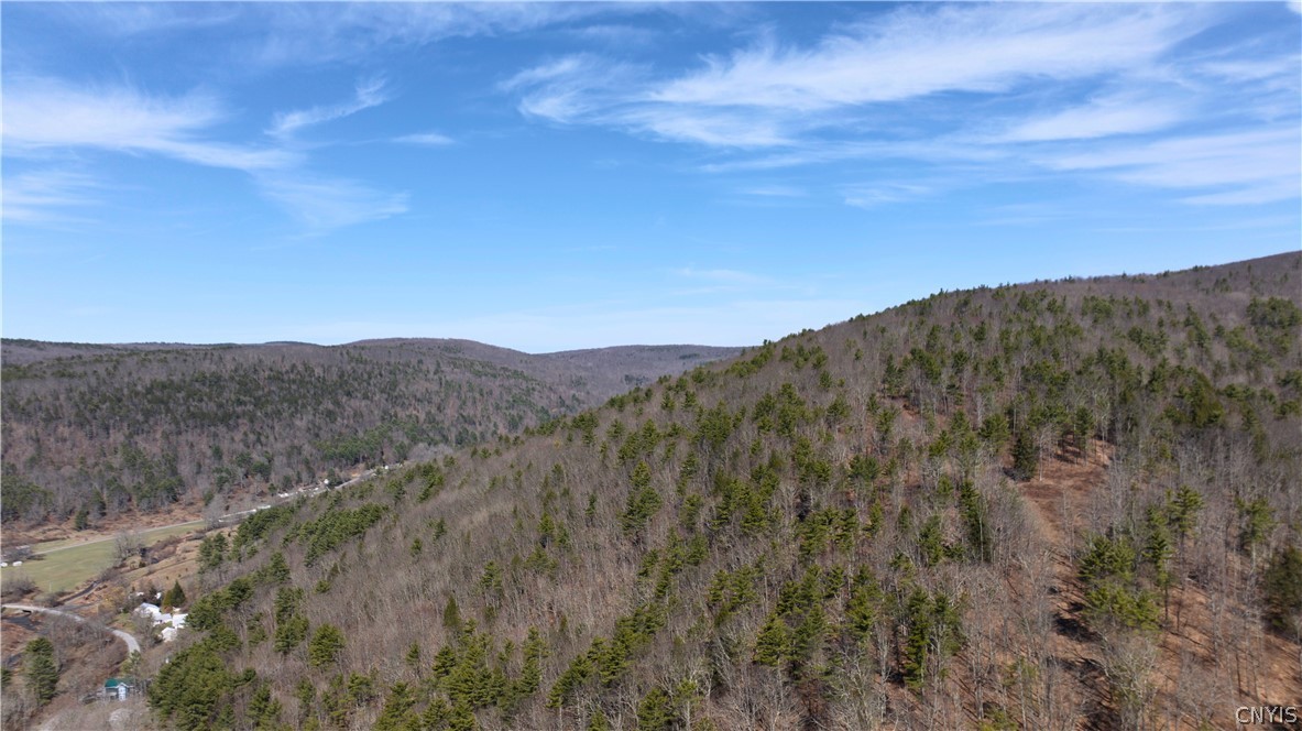 285 Patria Road Fulton, NY 12187 - Photo 12 of 19