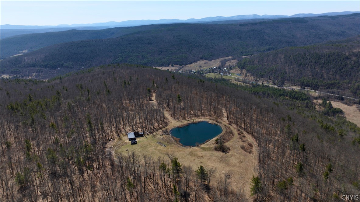 285 Patria Road Fulton, NY 12187 - Photo 4 of 19