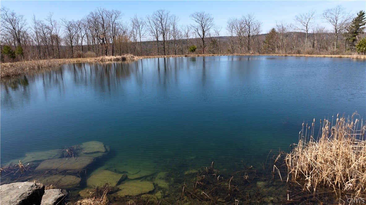 285 Patria Road Fulton, NY 12187 - Photo 6 of 19