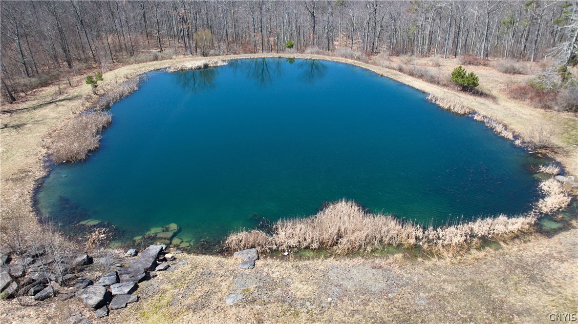 285 Patria Road Fulton, NY 12187 - Photo 9 of 19