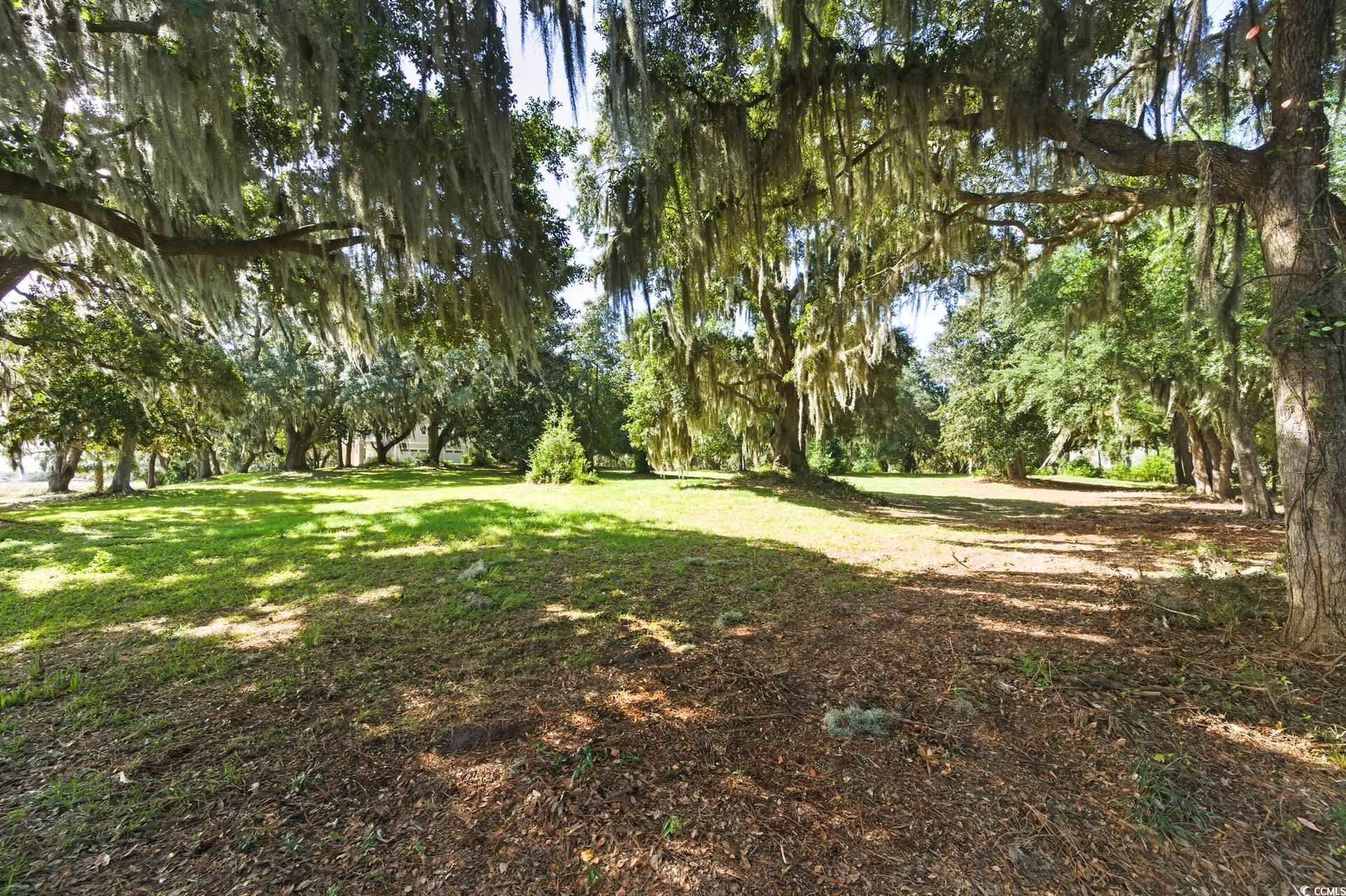 Lot 5 Whitehall Avenue Georgetown, SC 29440 - Photo 12 of 20