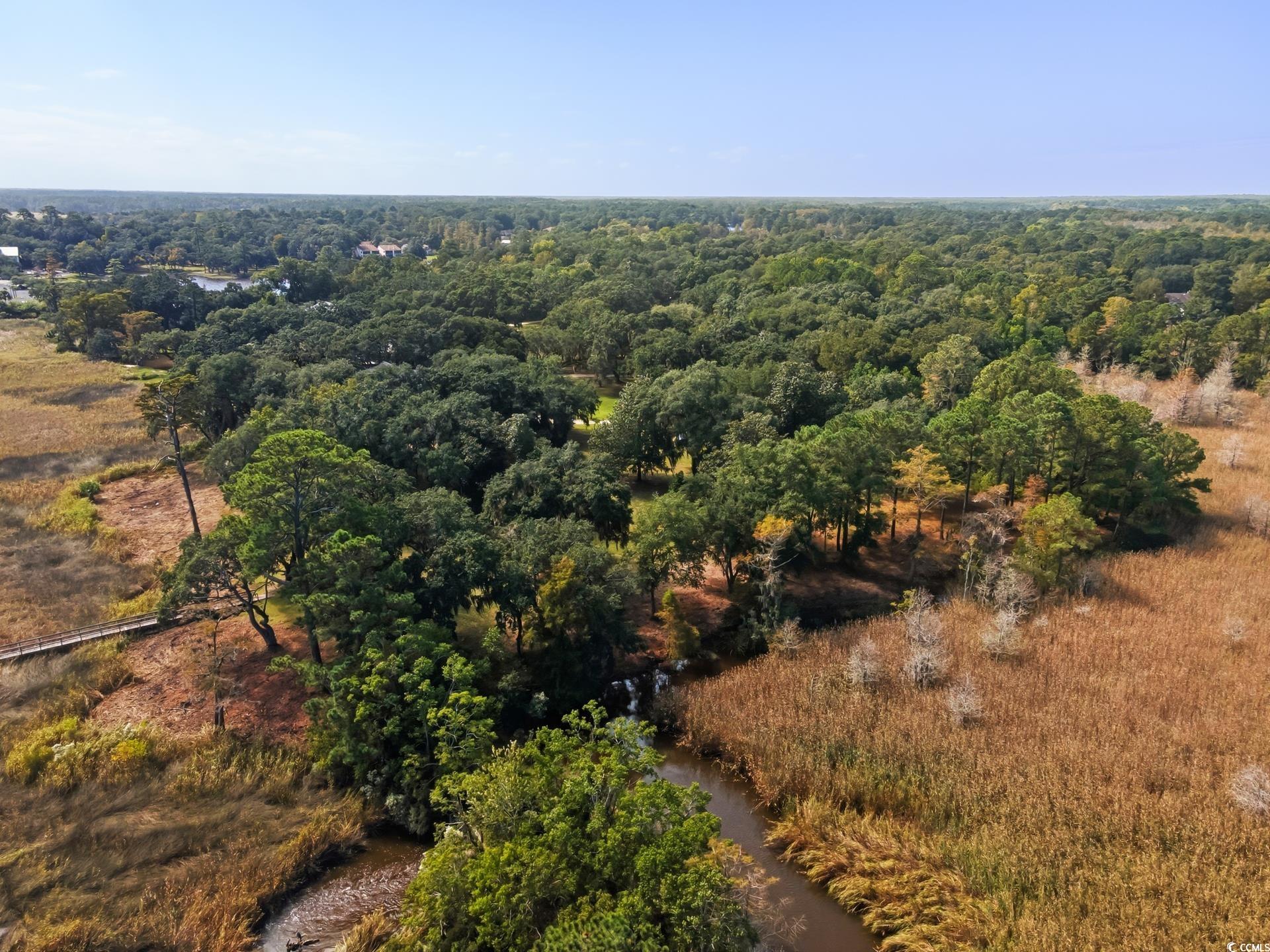 Lot 5 Whitehall Avenue Georgetown, SC 29440 - Photo 15 of 20