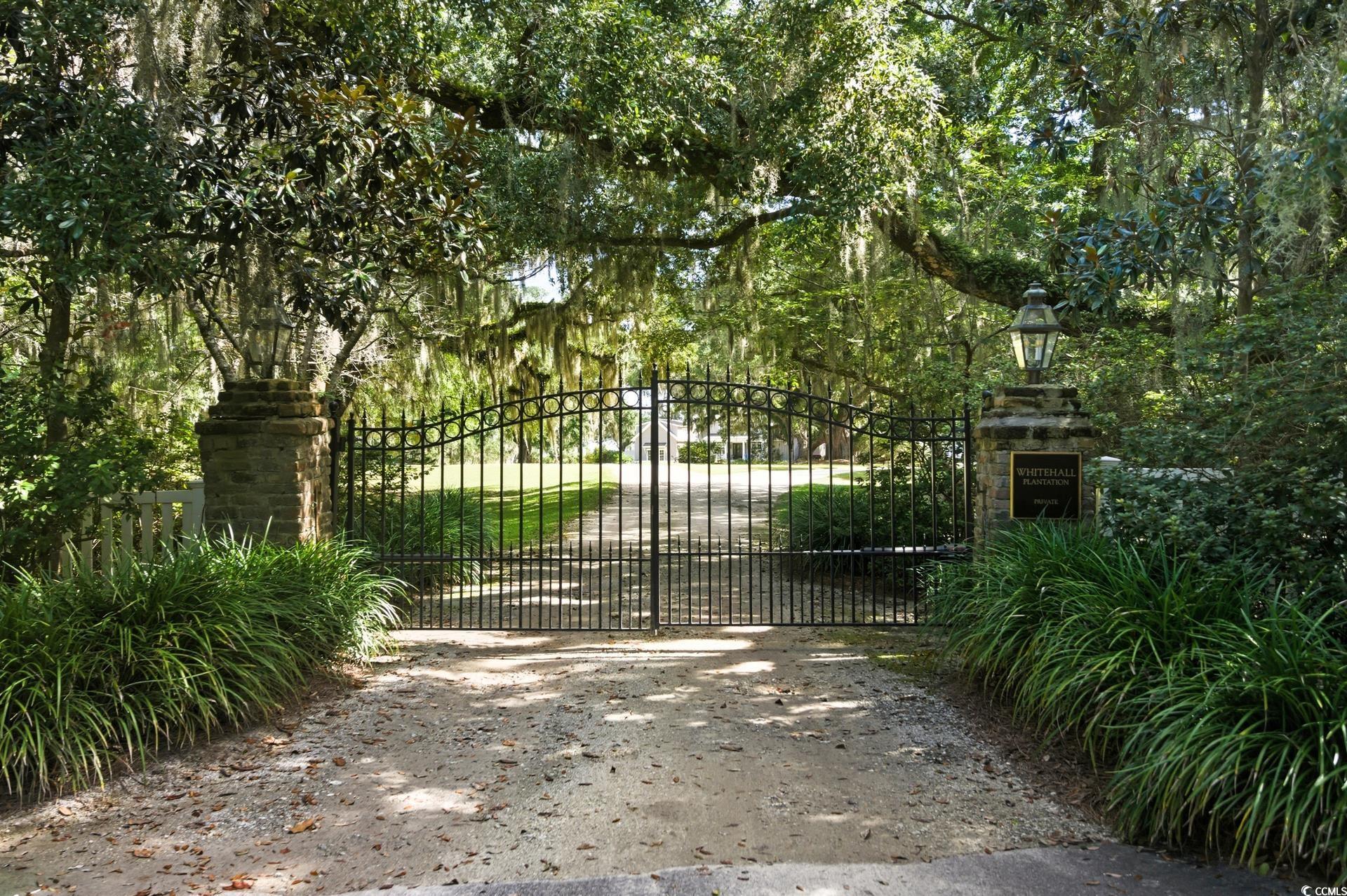 Lot 5 Whitehall Avenue Georgetown, SC 29440 - Photo 2 of 20