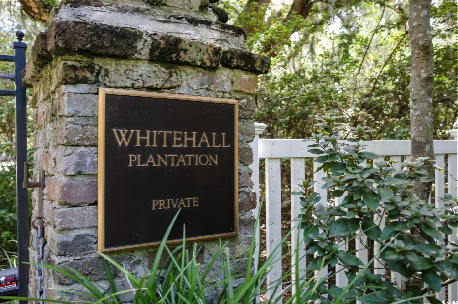 Lot 5 Whitehall Avenue Georgetown, SC 29440 - Photo 3 of 20