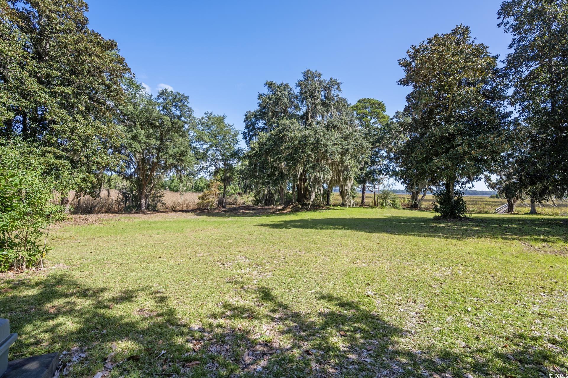 Lot 5 Whitehall Avenue Georgetown, SC 29440 - Photo 5 of 20